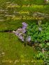 Gardens and Nature Guide to April Wildflowers by Gardens And Nature Magazine