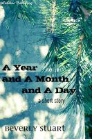 Cover for 'A Year and a Month and a Day'