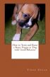 How to Train and Raise a Boxer Puppy or Dog with Good Behavior by Vince Stead