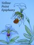 Yellow Point Epiphany by Robert Adair Wilson