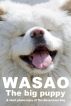 WASAO The Big Puppy by Takeshi Kudo