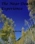 The Near-Death Experience by Brian King