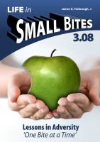 Cover for 'Life in Small Bites - 3.08 Adversity'