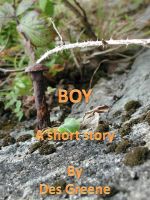 Cover for 'Boy'