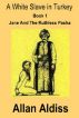 A White Slave in Turkey Book 1 - A BDSM Novel by Allan Aldiss