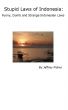 Stupid Laws of Indonesia: Funny, Dumb and Strange Indonesian Laws by Jeffrey Fisher