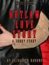 Outlaw Love Story by Elizabeth Barone