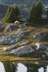 The Camping Handbook (tents) by Larry Cole