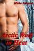 Arctic Wolf in Heat by Misha Belmont