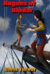 Rogues of Bindar by Chris Turner