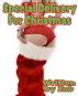 Special Deliver For Christmas by Zob Alex