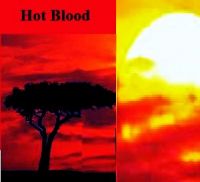 Cover for 'Hot Blood'