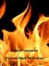 Love's Firestarter by Thomas Mark Wickstrom