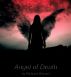Angel of Death by Richard Gerard
