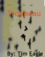 Cover for 'Flock'