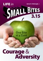 Cover for ''How to' Lessons in Courage & Adversity - 3.15'