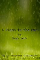 A Flash in the Pan? cover