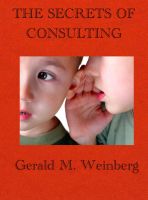 Cover for 'The Secrets of Consulting'