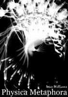 Cover for 'Physica Metaphora'