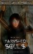 Tarnished Souls Book Two by Crymsyn Hart