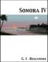 Sonora IV by G. F. Hellstern