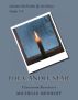The Candle Star: Classroom Resources by Michelle Isenhoff