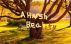 A Harsh Reality by Henrik Vetterer