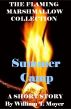 Summer Camp by William T. Moyer