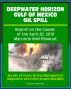 Deepwater Horizon Gulf of Mexico Oil Spill: Report on the Causes of the April 20, 2010 Macondo Well Blowout by Progressive Management