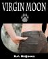 Virgin Moon by B.J. McQueen