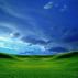 Summerland by Geoffrey Kruse-Safford