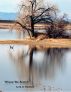 Where We Reach by M. D. Friedman