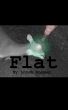 Flat by Loren Hammer