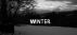 Winter by Monica P