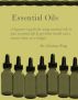Essential Oils by Christina Wong