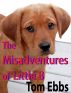 The Misadventures of Little B by Tom Ebbs