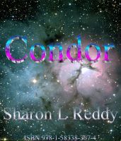 Cover for 'Condor'