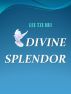 Divine Splendor by Tze Hui Lee