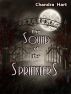 The Sound of the Sprinklers by Chandra Hart