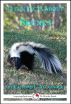 14 Fun Facts About Skunks: A 15-Minute Book by Caitlind Alexander