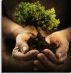 Chapter Four: Tree of Life by Penitent 