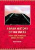 A Brief History Of The Incas: From Rise, Through Reign, To Ruin by Brien Foerster