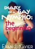 Diary of a Gay Nympho: The Beginning (Sin City Gay Erotic Tales #3) by Evan J. Xavier