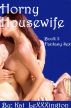 Fantasy Sex Horny Housewife Book 3 by Christian Jensen