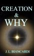 Creation & Why by Joe Biancardi