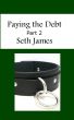 Paying the Debt, Part 2 by Seth James