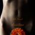 Sinsations: Book One by Black Serpent Books 
