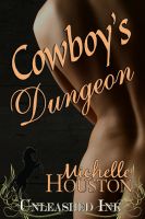 Cover for 'Cowboy's Dungeon'