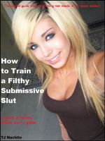 Cover for 'How to Train a Filthy Submissive Slut: A Quick and Handy eBook User's Guide'