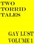 Two Torrid Tales: Gay Lust Volume 1 by Sam Summers